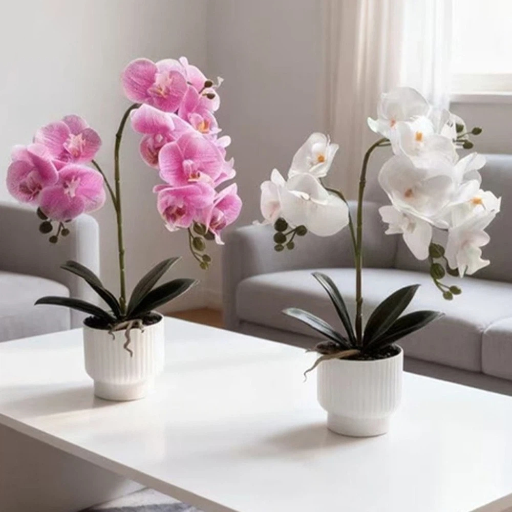Orchid Potting Mix - Multi-Bloom Simulated Butterfly Orchid DIY White