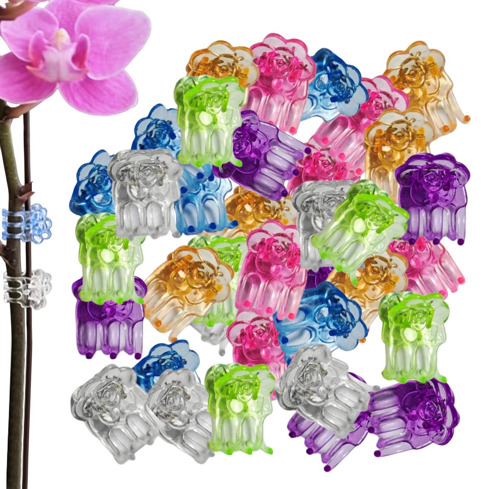 Orchid Potting Mix - Orchid Clips 60 Pieces Butterfly Flower