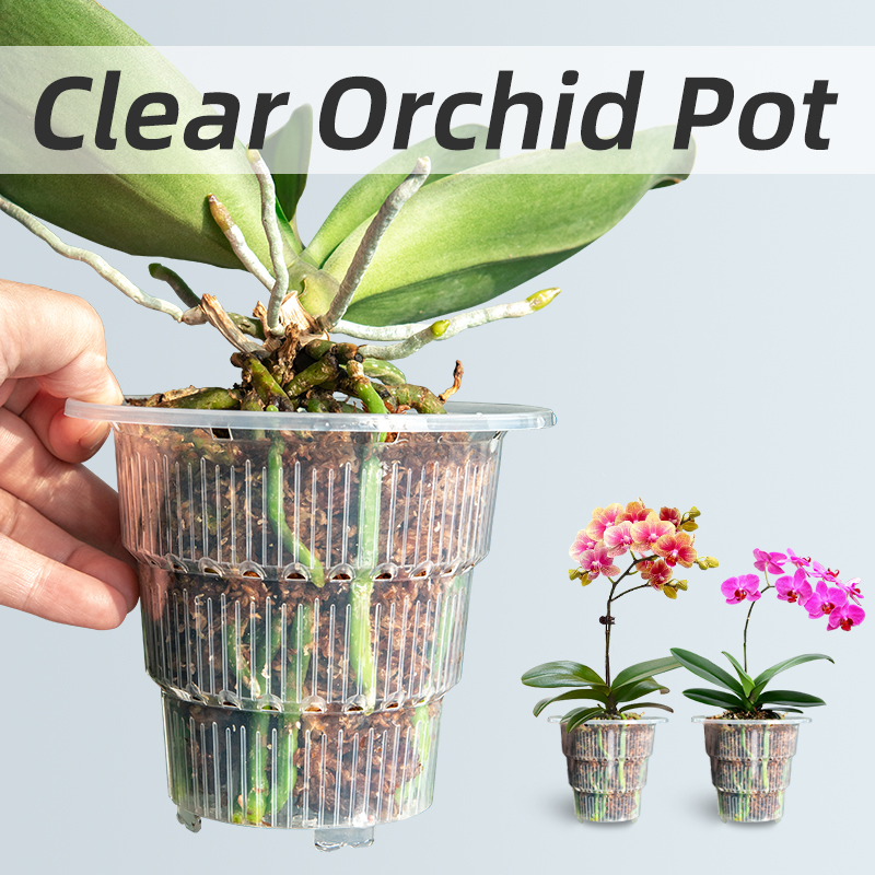 Orchid Potting Mix - Meshpot Clear Plastic Orchid Pots with