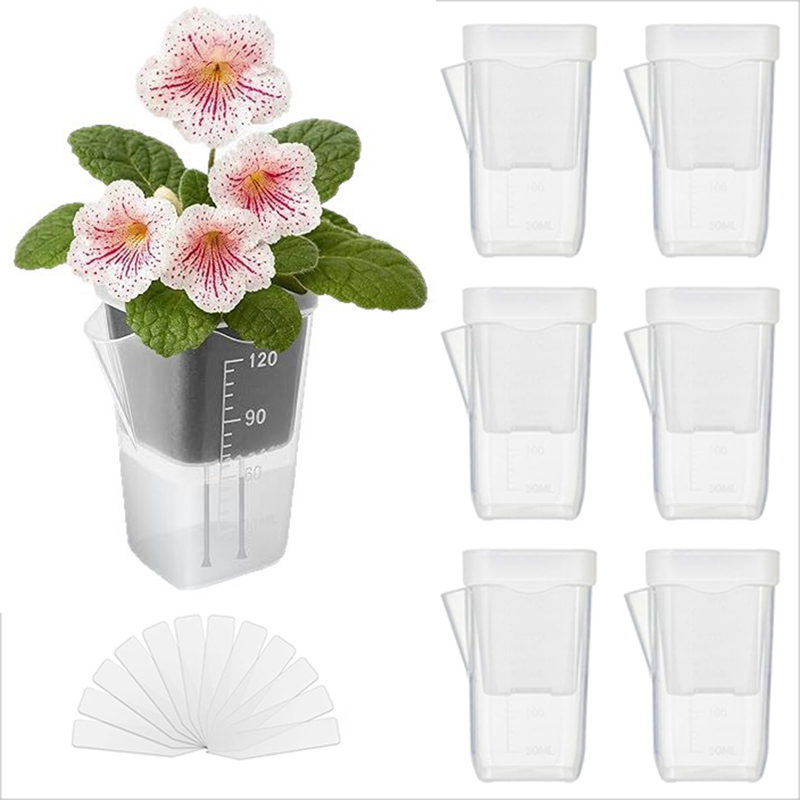 Self-Watering Planter - 16/32 Pack Self-Watering Planters – Transparent