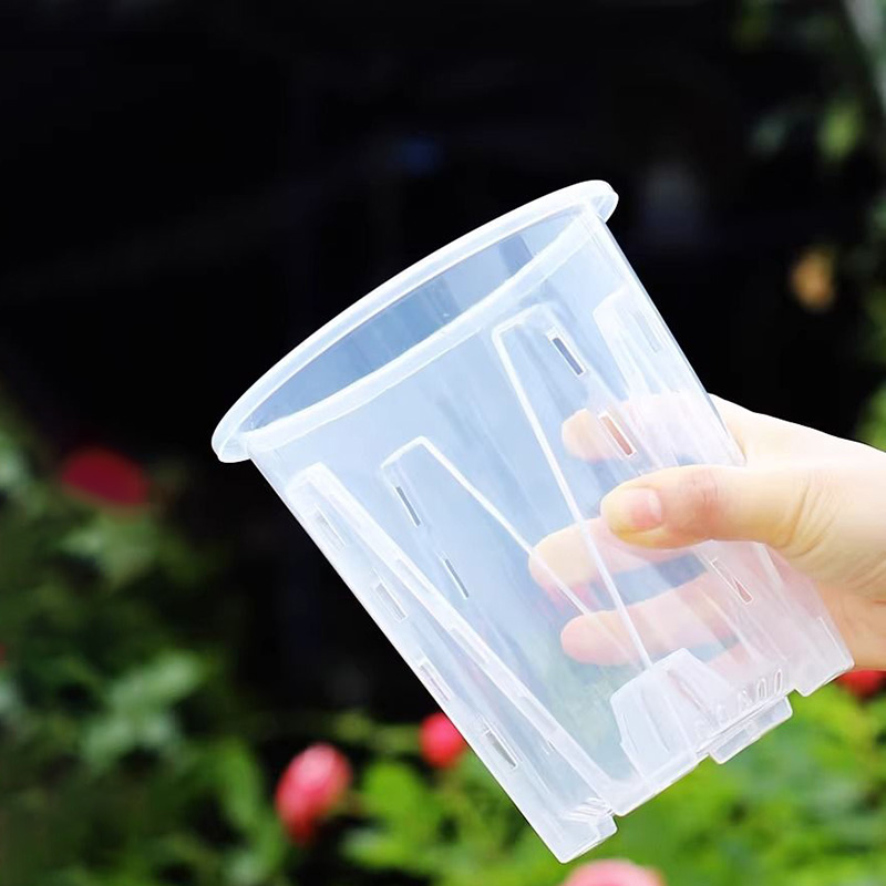 Orchid Potting Mix - 12cm for orchid Plant grow Pot