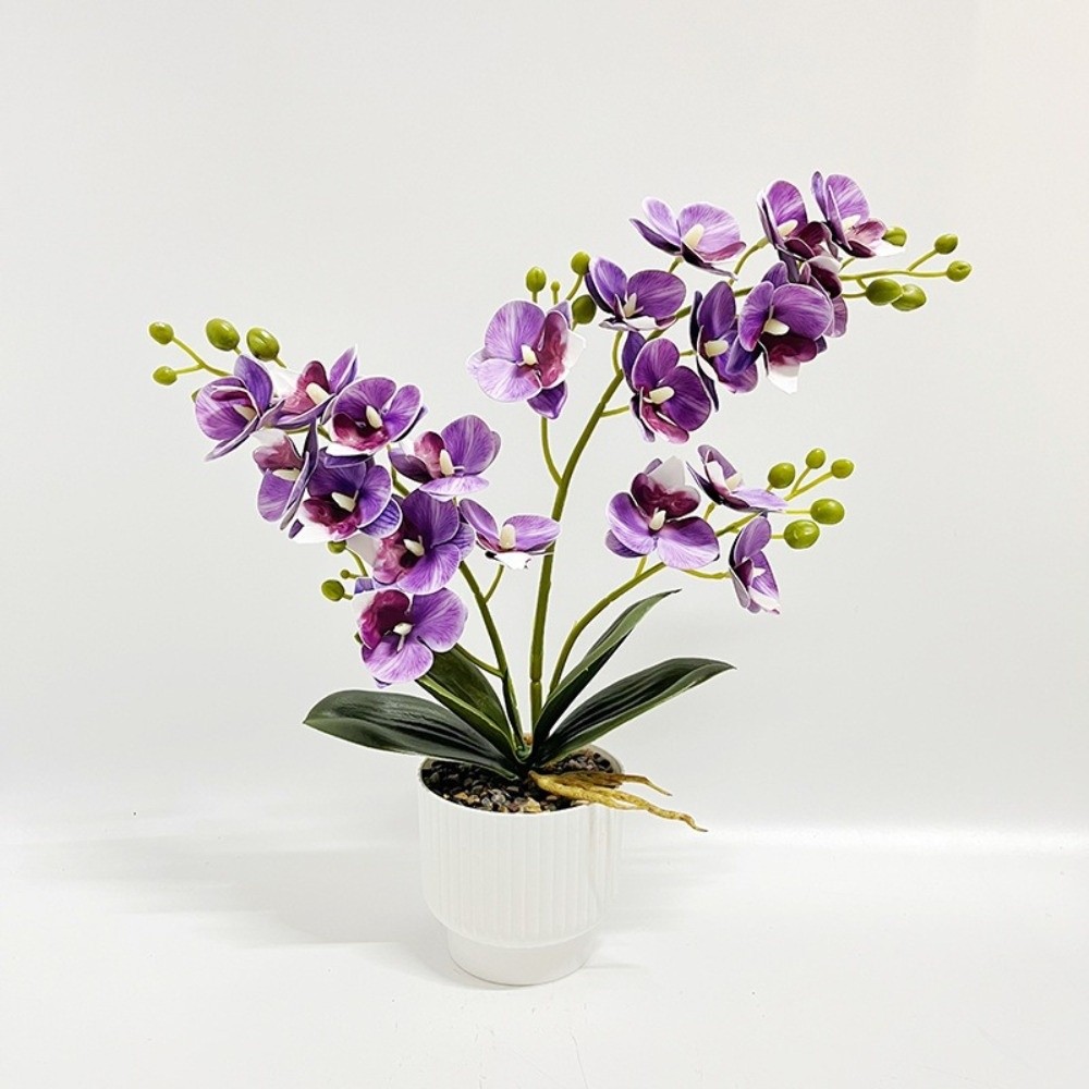 Multi-Bloom Simulated Butterfl - Orchid Potting Mix recension och pris