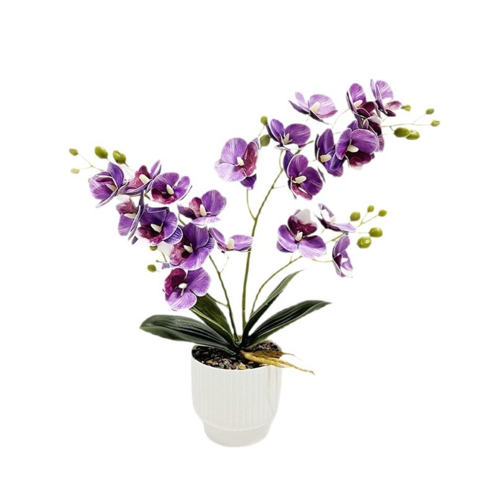 Multi-Bloom Simulated Butterfl - Orchid Potting Mix recension och pris