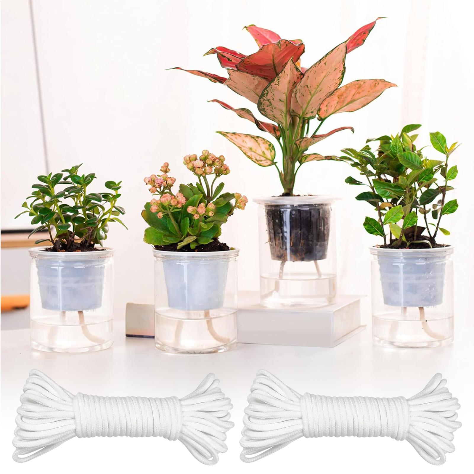 Plant Wicks For Self Watering  - Self-Watering Planter recension och pris