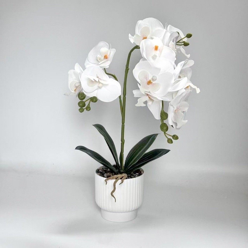 Multi-Bloom Simulated Butterfl - Orchid Potting Mix recension och pris