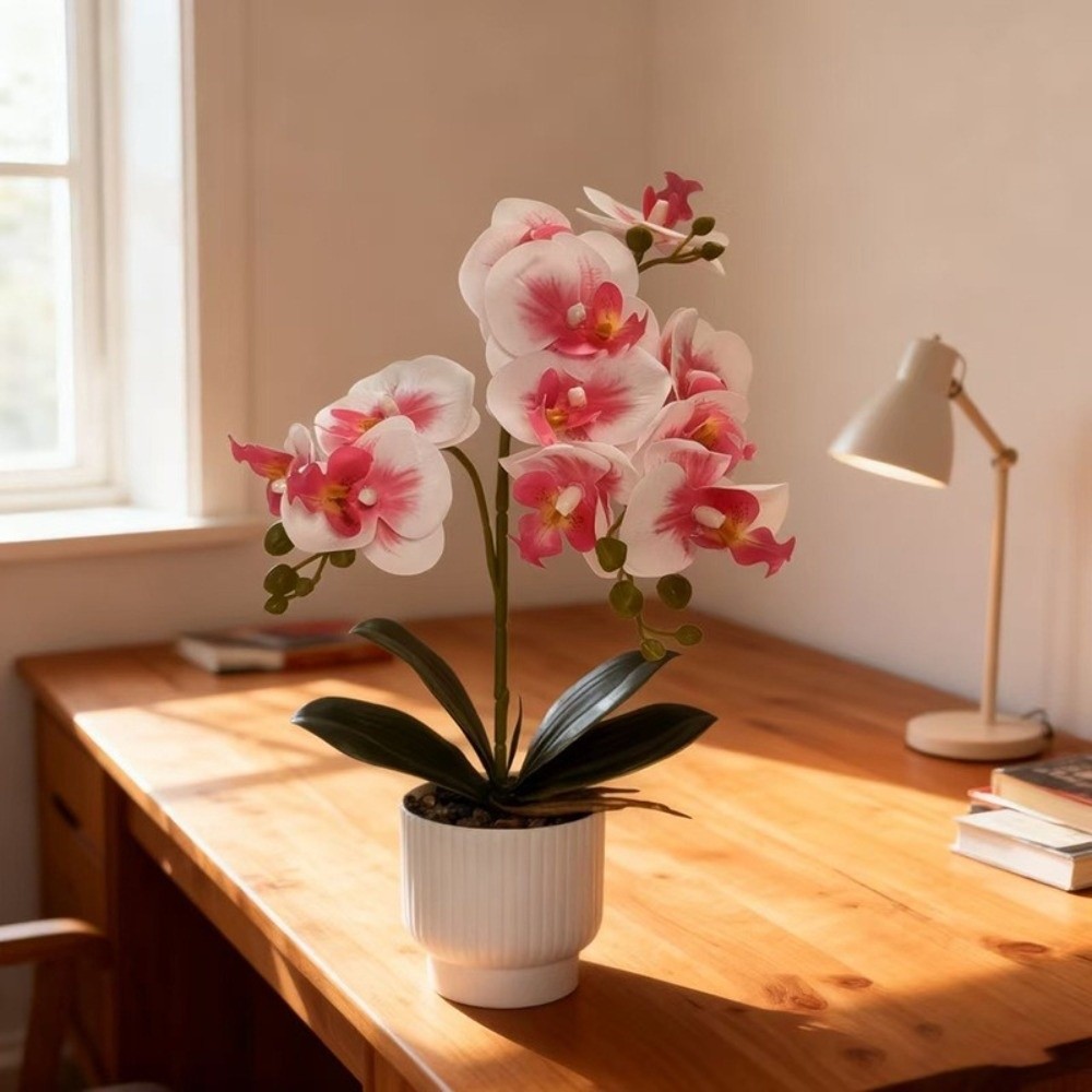 Multi-Bloom Simulated Butterfl - Orchid Potting Mix recension och pris