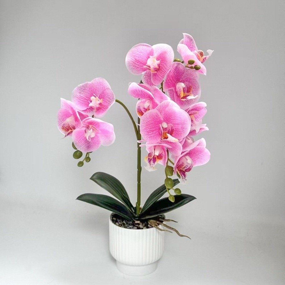 Multi-Bloom Simulated Butterfl - Orchid Potting Mix recension och pris