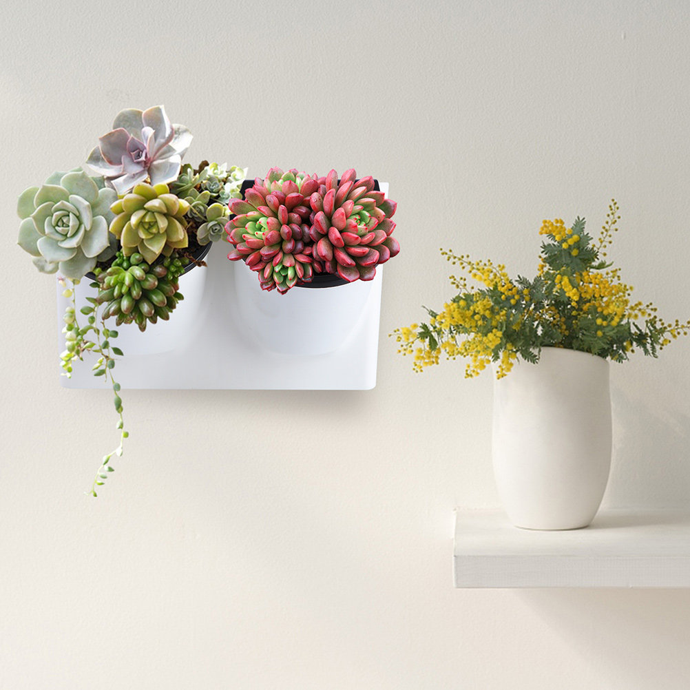 Self Watering Flower Pot Plast - Self-Watering Planter recension och pris