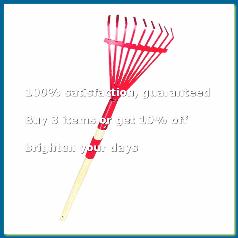 Children'S Rake with Hardwood  - Gardening Tools For 3 Year Old recension och pris