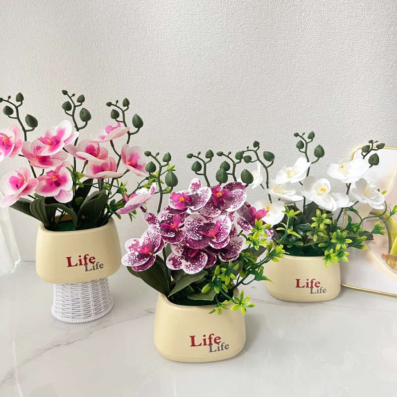 Elegant Nordic Style High-End  - Orchid Potting Mix recension och pris