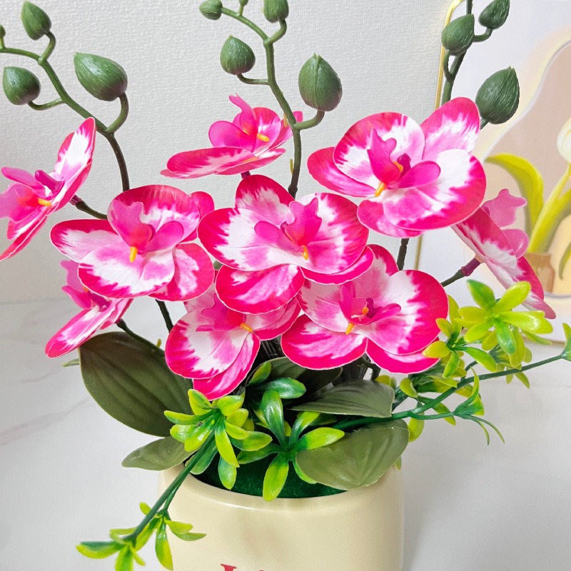 Elegant Nordic Style High-End  - Orchid Potting Mix recension och pris