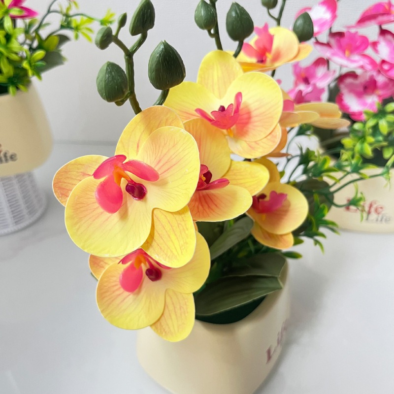 Elegant Nordic Style High-End  - Orchid Potting Mix recension och pris