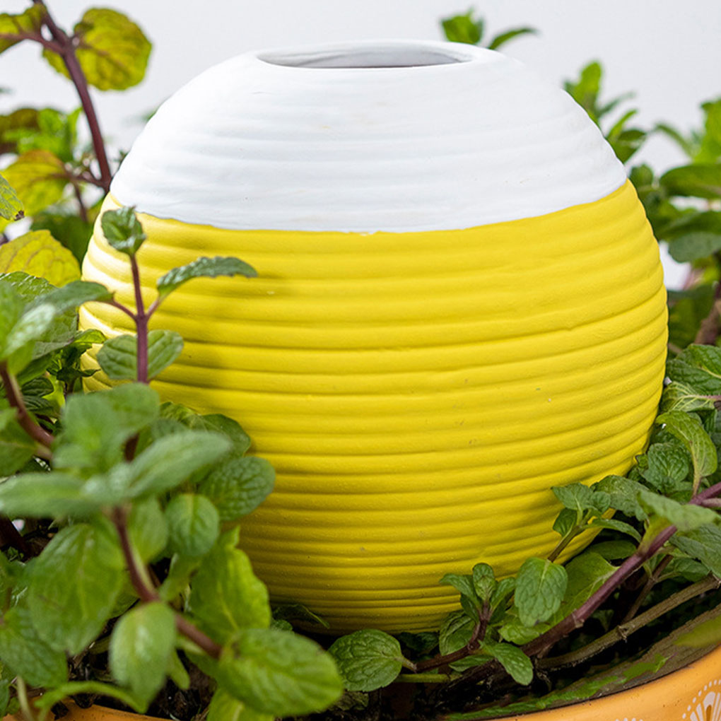 Ceramics Automatic Plant Water - Gardening Tools Must Haves recension och pris
