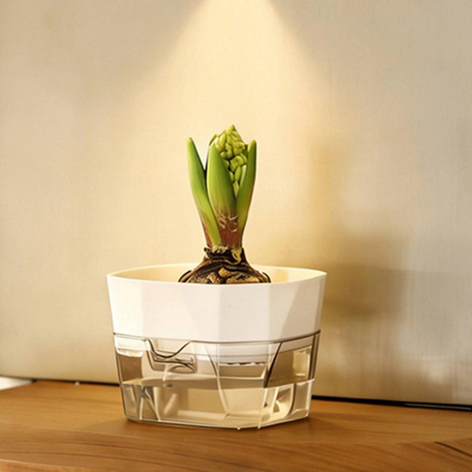 Hydroponic Vase Two Layer Self - Self-Watering Planter recension och pris