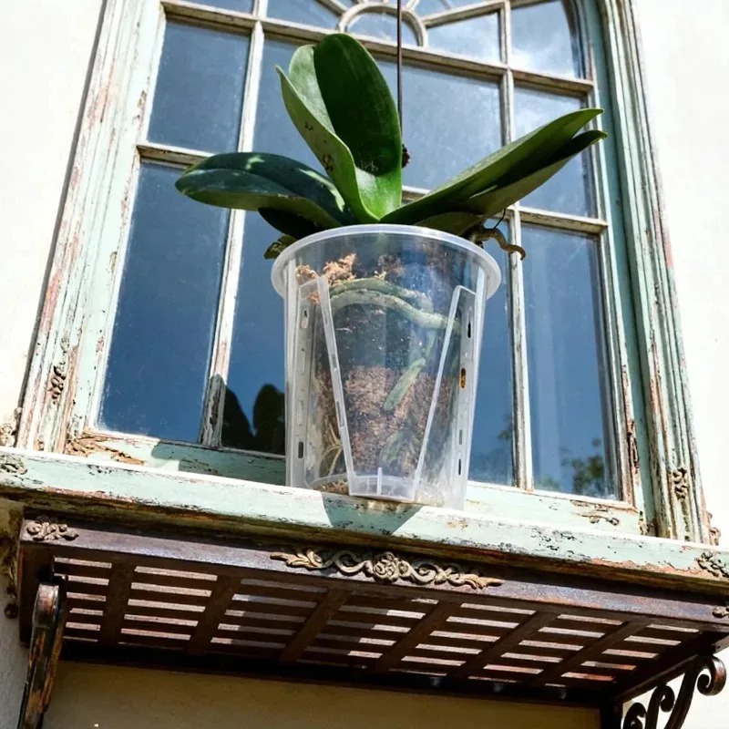 S/M/L/XL Clear Root Control Fl - Orchid Potting Mix recension och pris