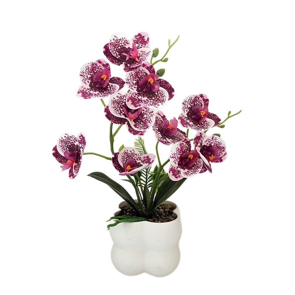 Multi-Bloom Simulated Butterfl - Orchid Potting Mix recension och pris