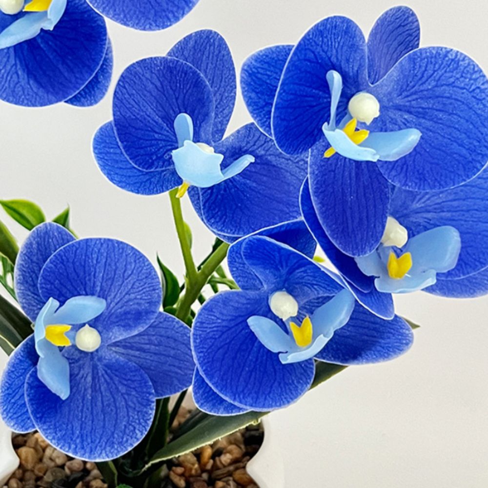 Multi-Bloom Simulated Butterfl - Orchid Potting Mix recension och pris