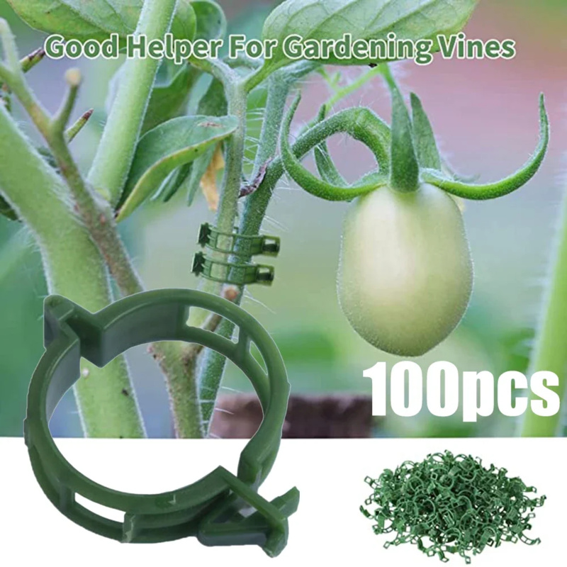 100 PCS/ Plant Support Clip Pl - Gardening Tools Hoe recension och pris