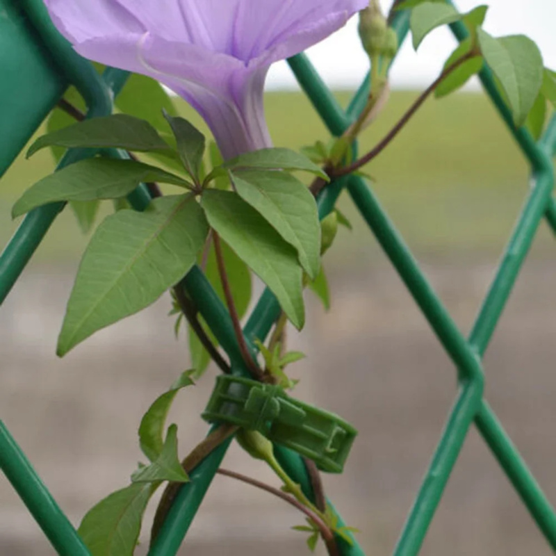 100 PCS/ Plant Support Clip Pl - Gardening Tools Hoe recension och pris