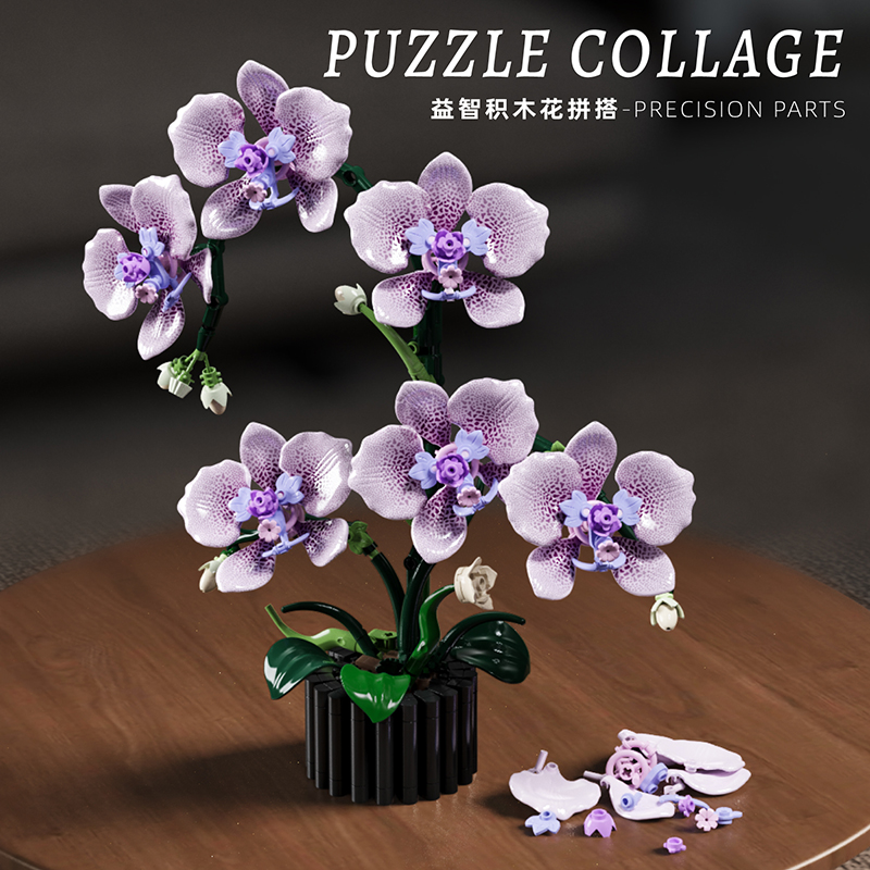 619PCS Phalaenopsis Building B - Orchid Potting Mix recension och pris