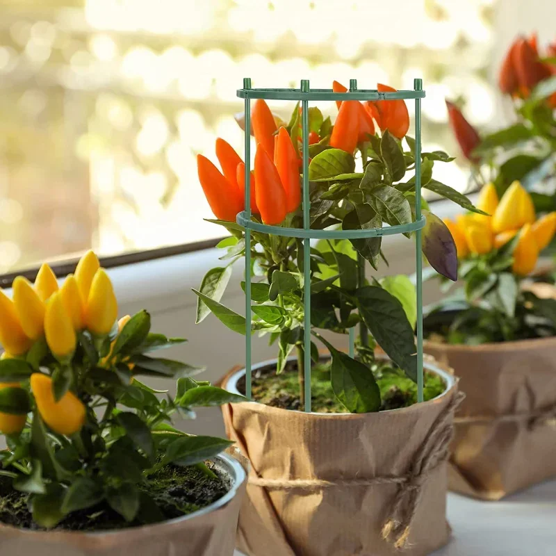 Plastic Plant Support Pile Sta - Gardening Tools Hoe recension och pris