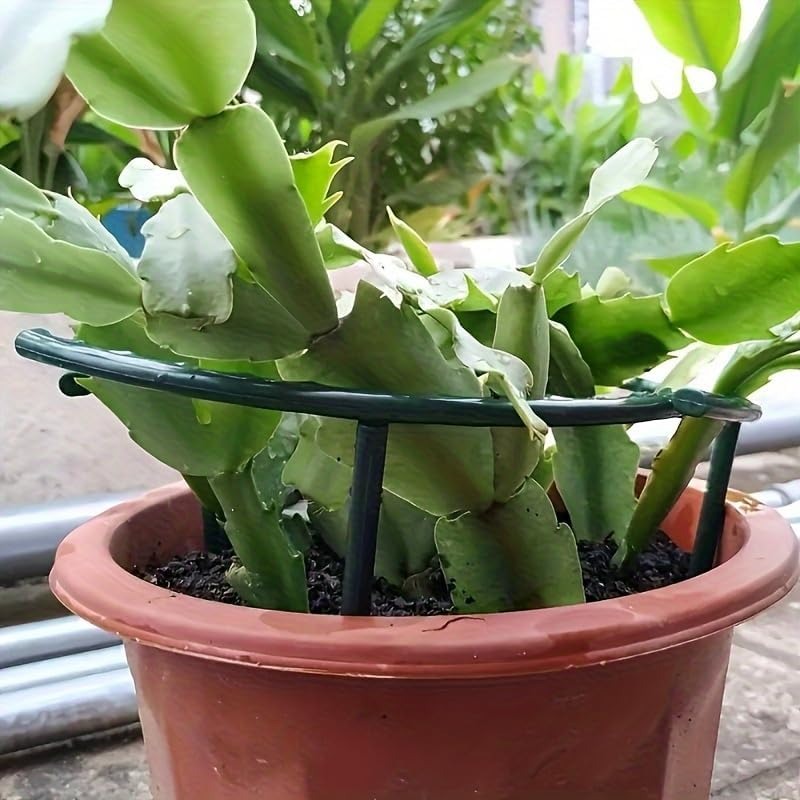 30-1PCS Plastic Plant Support  - Gardening Tools Hoe recension och pris