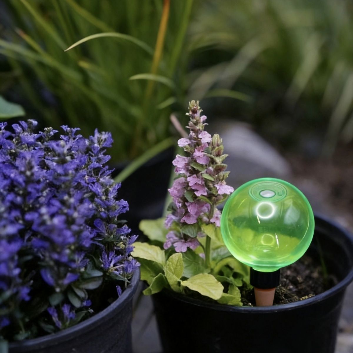 3pcs Large Plant Self Watering - Self-Watering Planter recension och pris