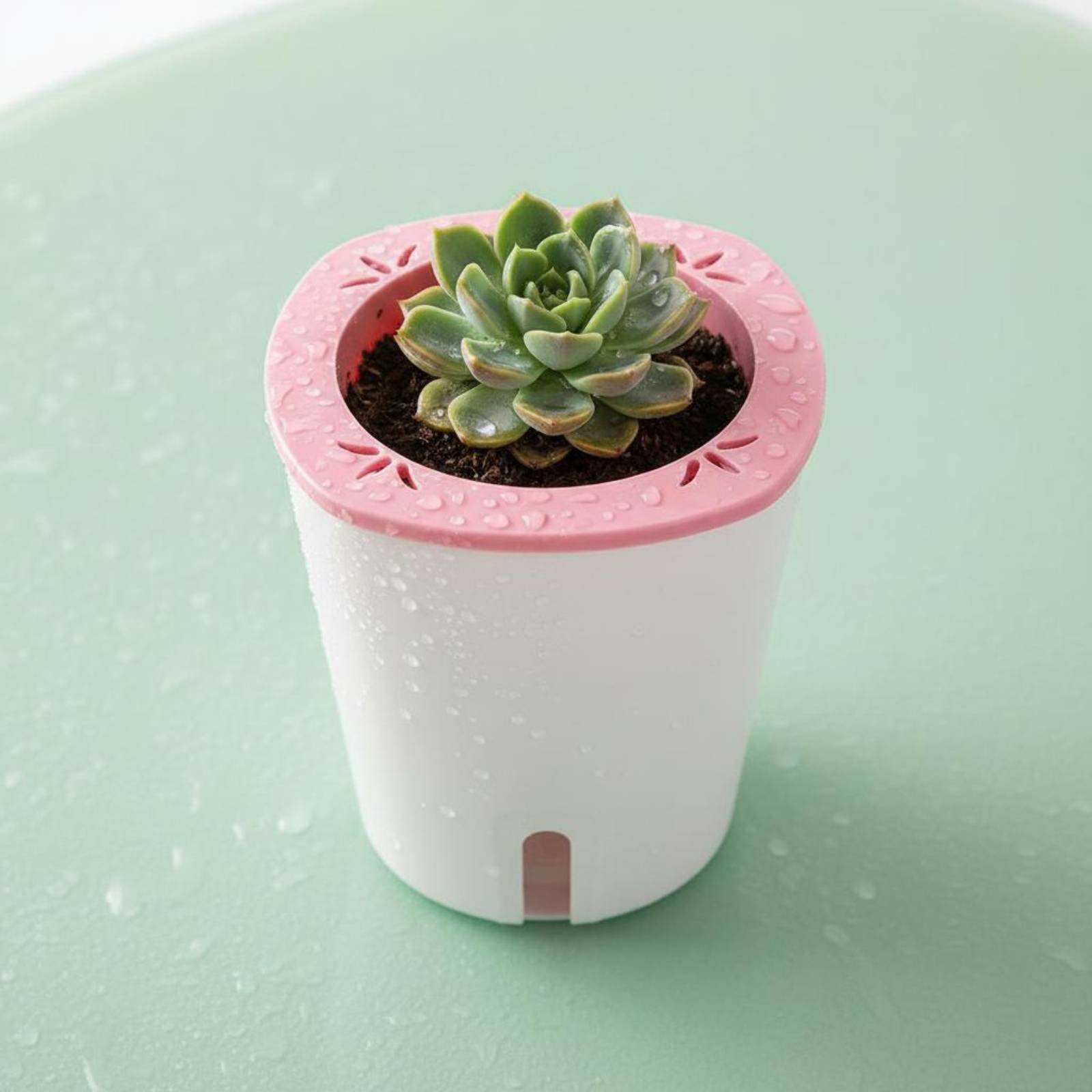 Self Watering Planter Large Si - Self-Watering Planter recension och pris