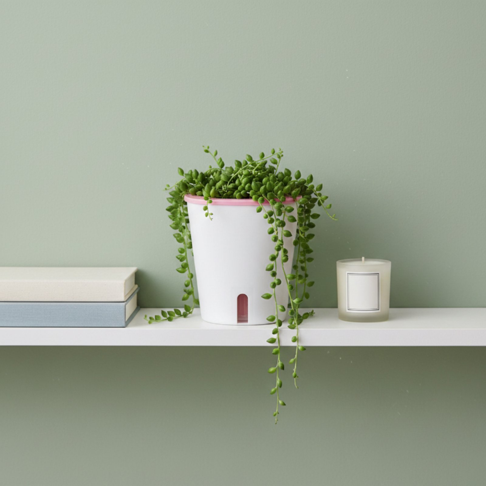 Self Watering Planter Large Si - Self-Watering Planter recension och pris
