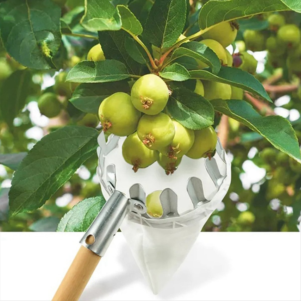 【Clearance Sale】Metal Fruit Pi - Gardening Tools For Sale recension och pris